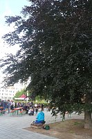 Bild: Jazzbaumfest am Nordh&auml;user Theater