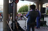 Bild: Jazzbaumfest am Nordh&auml;user Theater
