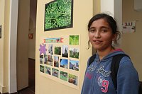 Bild: Fotoausstellung im Atrium der Petersbergschule