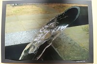 Bild: Fotoausstellung im Atrium der Petersbergschule