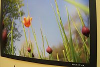 Bild: Fotoausstellung im Atrium der Petersbergschule