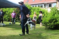 Bild: Sommerfest der Diakonie Suchthilfe