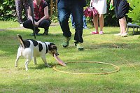 Bild: Sommerfest der Diakonie Suchthilfe