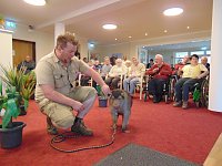 Bild: Tierisch, tierisch im Sonnenhof