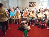 Bild: Tierisch, tierisch im Sonnenhof