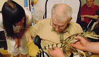 Bild: Tierisch, tierisch im Sonnenhof