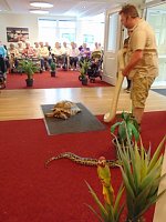 Bild: Tierisch, tierisch im Sonnenhof
