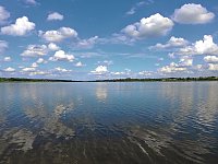 Bild: Tiere am See