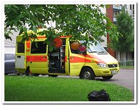 Bild: Hortfest der Grundschule "Am F&ouml;rstemannweg"