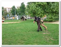 Bild: Hortfest der Grundschule "Am F&ouml;rstemannweg"