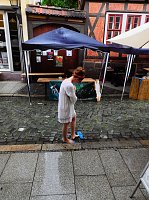 Bild: Veganes Stra&szlig;enfest auf der Kurzen Meile