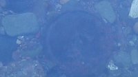 Bild: Verd&auml;chtiger Gegenstand in der Zorge entdeckt