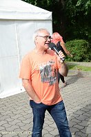 Bild: WBG Fest in der Plautstra&szlig;e