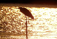 Bild: Abendimpressionen aus Auleben
