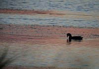 Bild: Abendimpressionen aus Auleben