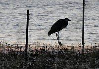 Bild: Abendimpressionen aus Auleben