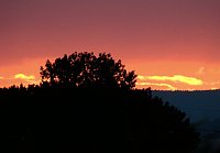 Bild: Abendimpressionen aus Auleben