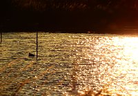 Bild: Abendimpressionen aus Auleben