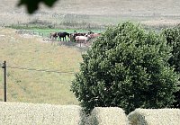 Bild: Besuch in der Heimat