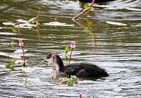 Bild: Besuch in der Heimat