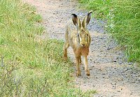 Bild: Besuch in der Heimat