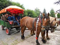 Bild: Eichenbergzwerge auf Reisen