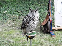 Bild: Barockes Gartenfest im Labyrinth