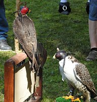 Bild: Barockes Gartenfest im Labyrinth