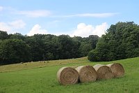 Bild: Sommer in R&uuml;digsdorf