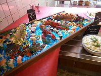 Bild: Sommerfest im DRK Pflegeheim Nordhausen
