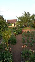 Bild: Blick in den Garten der 80-j&auml;hrigen Leni Seidel.