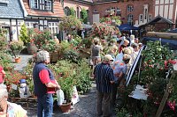 Bild: 4. Fuchsienschau in der Nordh&auml;user Traditionsbrennerei