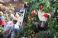 Bild: 4. Fuchsienschau in der Nordh&auml;user Traditionsbrennerei