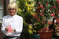 Bild: 4. Fuchsienschau in der Nordh&auml;user Traditionsbrennerei