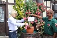 Bild: 4. Fuchsienschau in der Nordh&auml;user Traditionsbrennerei