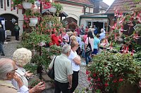 Bild: 4. Fuchsienschau in der Nordh&auml;user Traditionsbrennerei