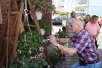 Bild: 4. Fuchsienschau in der Nordh&auml;user Traditionsbrennerei