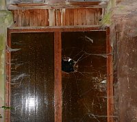 Bild: Unwirkliche Orte: Jagdschloss Rathsfeld