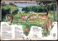 Bild: Peter Blei unterwegs - diesmal in der freien Natur und im Jugendwaldheim Rathsfeld