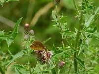 Bild: Peter Blei unterwegs - diesmal in der freien Natur und im Jugendwaldheim Rathsfeld