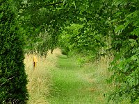 Bild: Peter Blei unterwegs - diesmal in der freien Natur und im Jugendwaldheim Rathsfeld