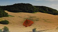 Bild: Peter Blei unterwegs - diesmal in der freien Natur und im Jugendwaldheim Rathsfeld
