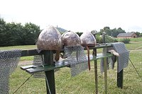 Bild: Geschichte erleben auf der Pfalz Tilleda