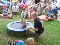 Bild: Sommerfest im Musikgarten