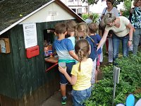 Bild: Sommerfest im Musikgarten