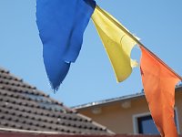 Bild: Sommerfest im Musikgarten