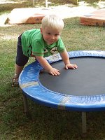 Bild: Sommerfest im Musikgarten