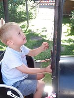 Bild: Sommerfest im Musikgarten