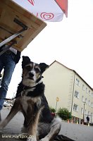 WBG Fest Töpferstraße Bild: WBG Fest Töpferstraße