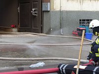 Wohnungsbrand mit vier Verletzten Bild: Wohnungsbrand mit vier Verletzten